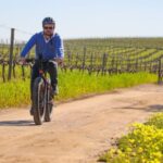 From Cape Town: E-Bike Winelands Tour - Itinerary Breakdown: The Experience Step-by-Step