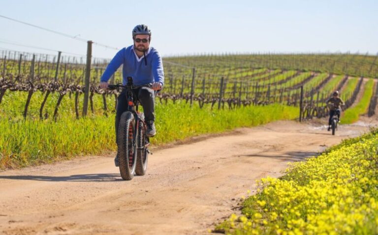 From Cape Town: E-Bike Winelands Tour - Itinerary Breakdown: The Experience Step-by-Step