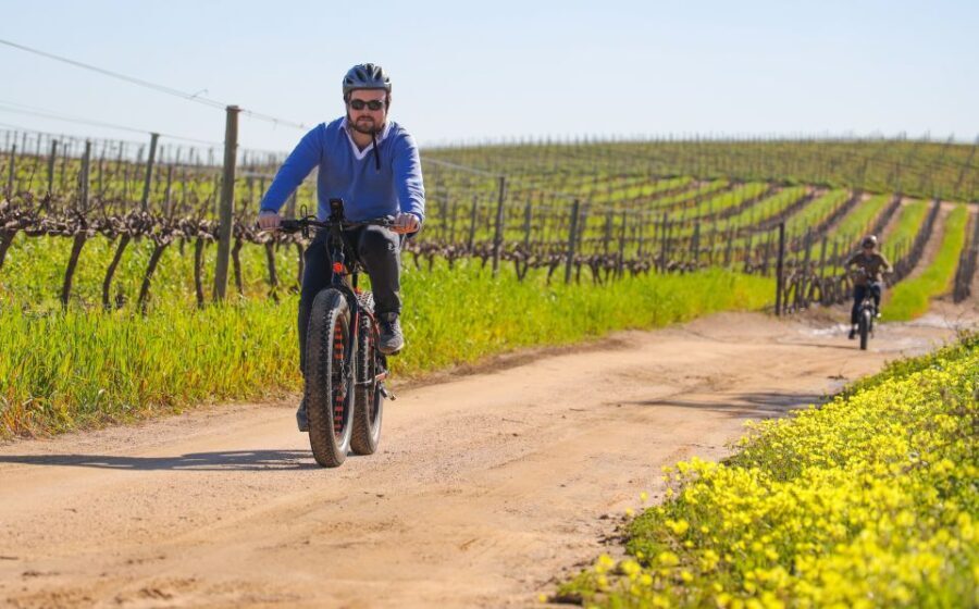 From Cape Town: E-Bike Winelands Tour - Itinerary Breakdown: The Experience Step-by-Step