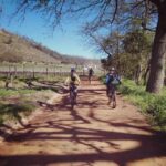 From Cape Town: Franschhoek Vineyards Bike Tour with Lunch - How the Tour Unfolds: From Village to Vineyard