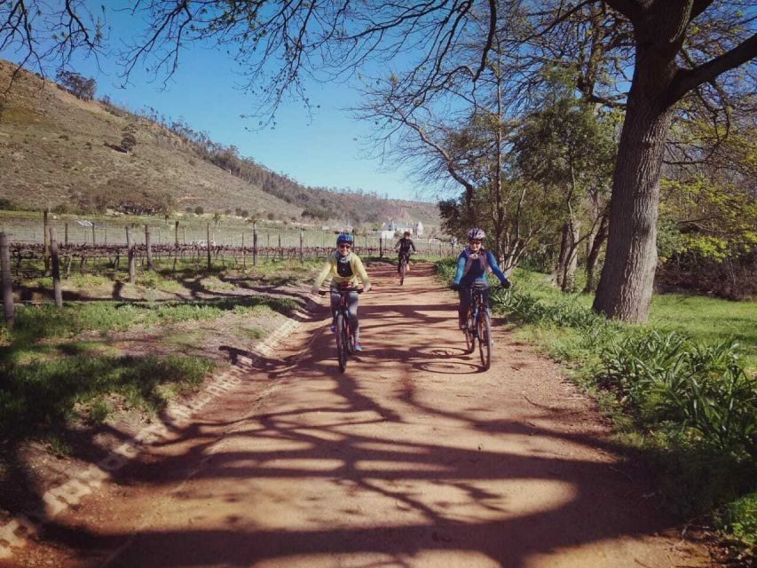 From Cape Town: Franschhoek Vineyards Bike Tour with Lunch - How the Tour Unfolds: From Village to Vineyard