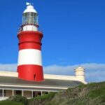 From Cape Town: Full-Day Cape Agulhas Private Tour - What Sets This Tour Apart