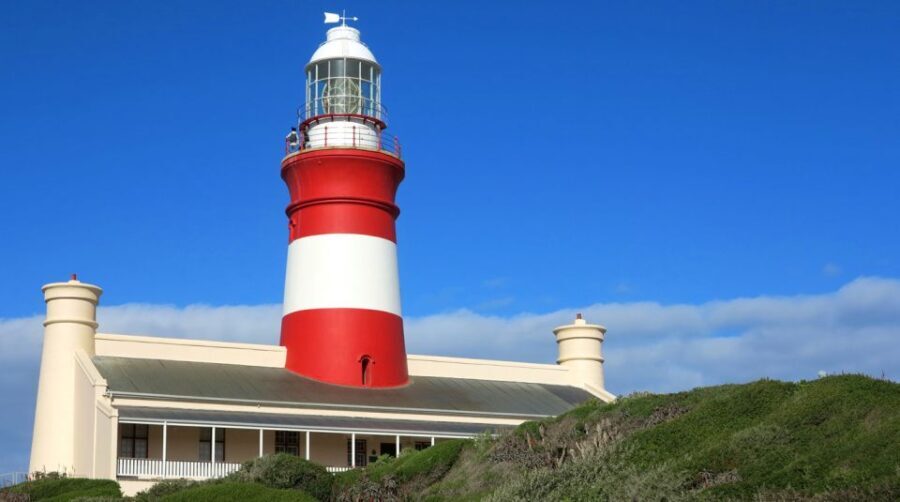 From Cape Town: Full-Day Cape Agulhas Private Tour - What Sets This Tour Apart