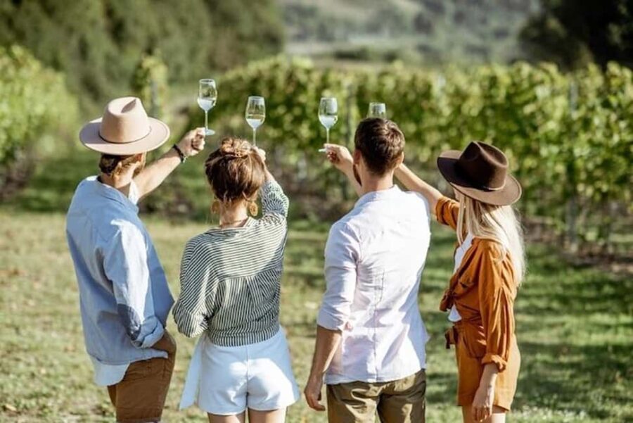 From Cape Town: Full-Day Cape Winelands Taste Tour + Tram - First Stop: Fairview’s Cheese and Wine Tasting