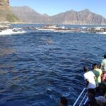 From Cape Town: Glass-Bottom Boat Seal Watching Tour - Value and Practical Considerations