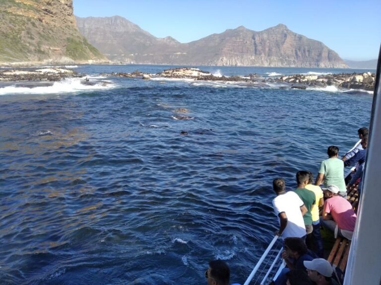 From Cape Town: Glass-Bottom Boat Seal Watching Tour - Value and Practical Considerations