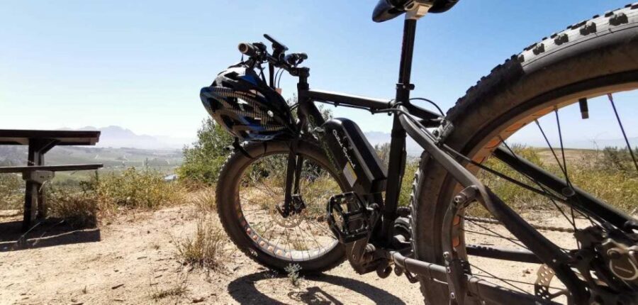 From Cape Town: Half-Day Winelands E-Bike Tour - What’s Included and What to Know