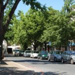 From Cape Town: Half Day Winelands Tour with winetasting - What Makes This Tour Worth It?