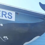 From Cape Town: Hermanus Whale Watching Tour with Transfer - From Cape Town: Hermanus Whale Watching Tour with Transfer — An In-Depth Review