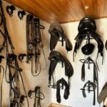 From Cape Town: Horseback Ride with Wine Picnic + Pick-Up - FAQ