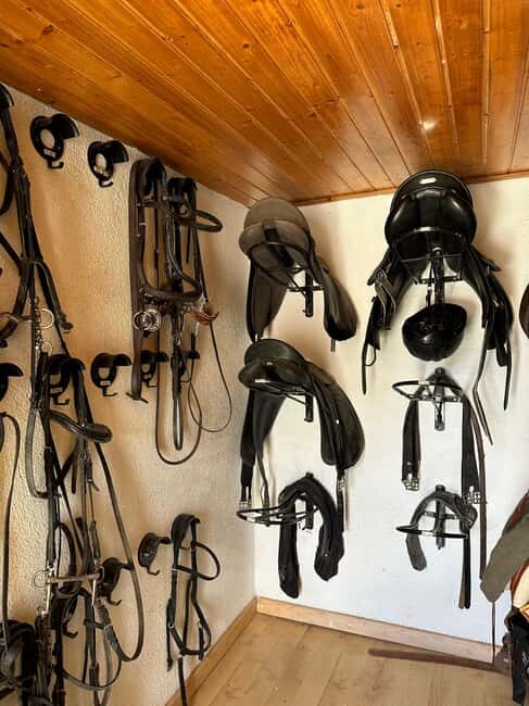 From Cape Town: Horseback Ride with Wine Picnic + Pick-Up - FAQ