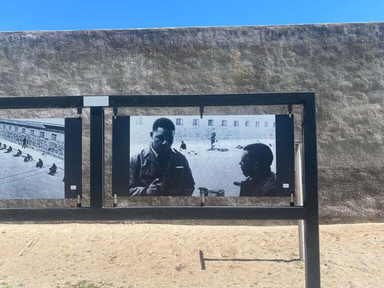 From Cape Town: Robben Island & Table Mountain Full-Day Tour - Itinerary Breakdown