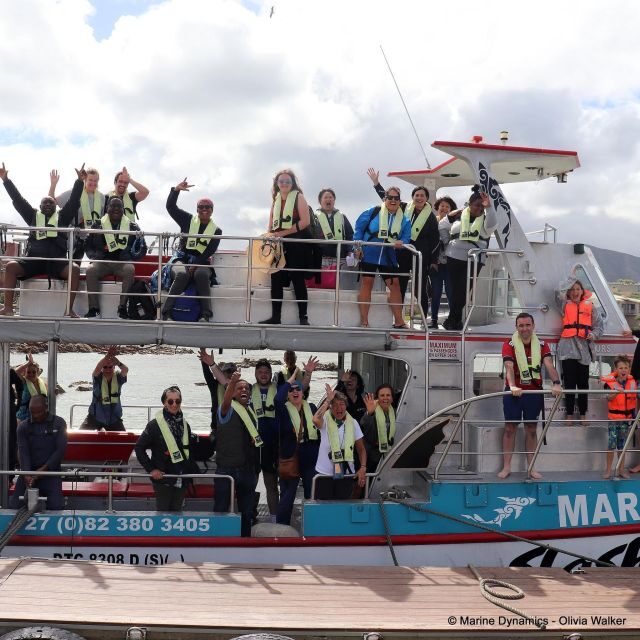 From Cape Town: Shark Cage Diving and Viewing - What to Expect from the Tour