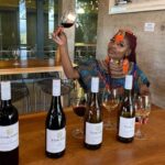From Cape Town: Stellenbosch & Franschhoek Wine Tasting Tour - Value and Pricing