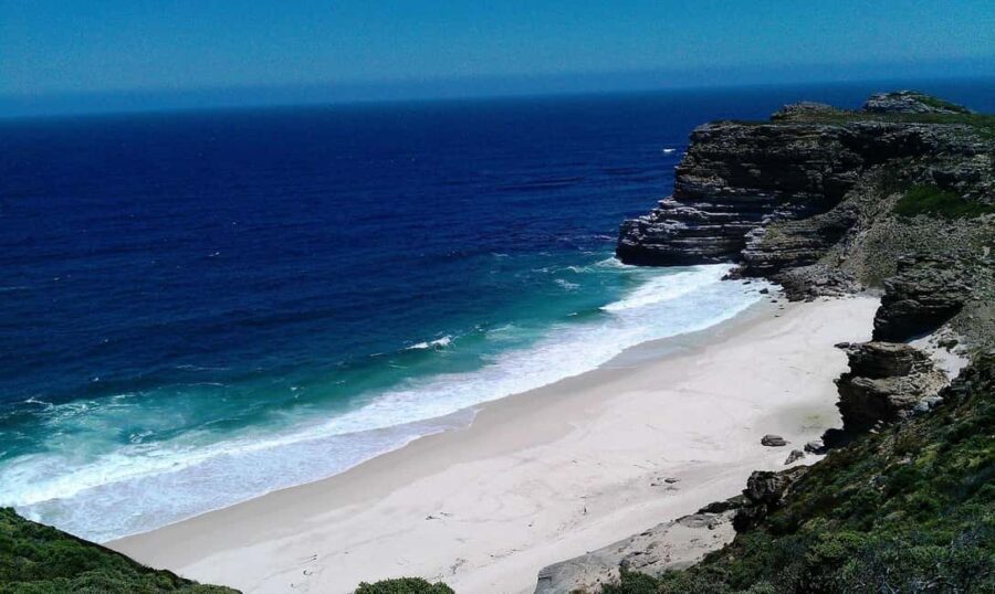 From Cape Town: Table Mountain and Cape of Good Hope Tour - A Deep Dive into the Experience