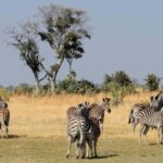 From Cape Town: Victoria Falls Highlights 2-Day Tour - The Itinerary in Detail: From Cape Town to Victoria Falls