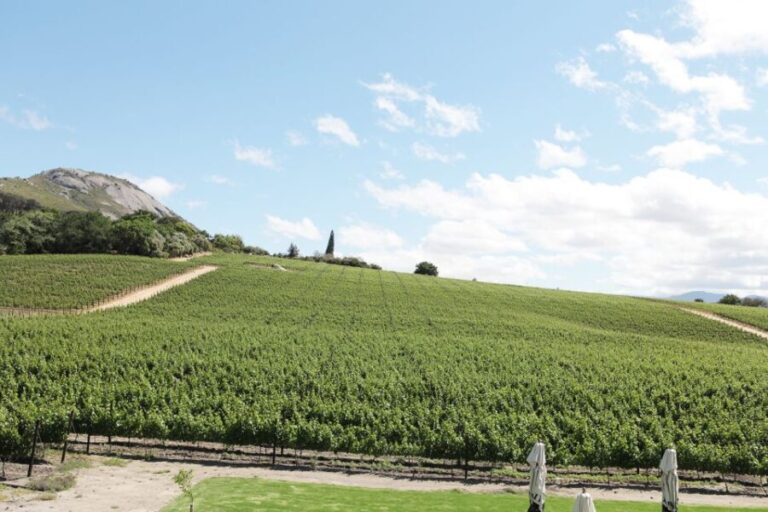 From Cape Town: Winelands Full Day Tour and Wine Tasting - Exploring Stellenbosch: The Heart of the Winelands