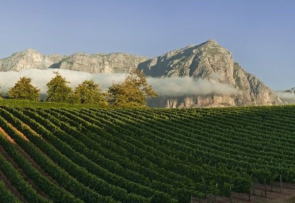 From Cape Town: Winelands Tour and Tastings - The Details: What’s Included and What to Know
