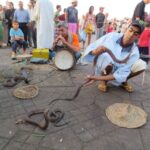 From Casablanca: 10-Day Morocco Tour - What You Need to Know About the Experience