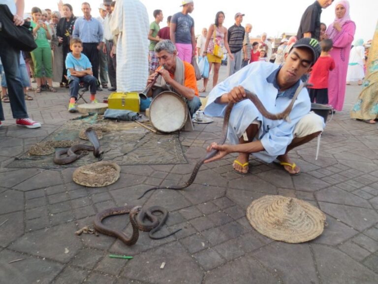 From Casablanca: 10-Day Morocco Tour - What You Need to Know About the Experience