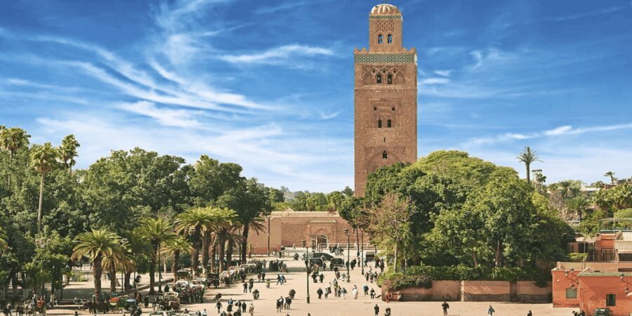 From Casablanca: Day Trip to Marrakech with Camel Ride - What Makes This Tour Stand Out?