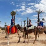 From Casablanca: Marrakech City Tour with Camel ride - Marrakech’s Top Sights and Cultural Gems