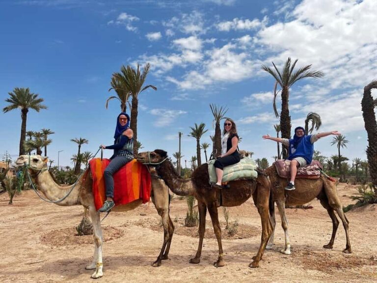 From Casablanca: Marrakech City Tour with Camel ride - Marrakech’s Top Sights and Cultural Gems