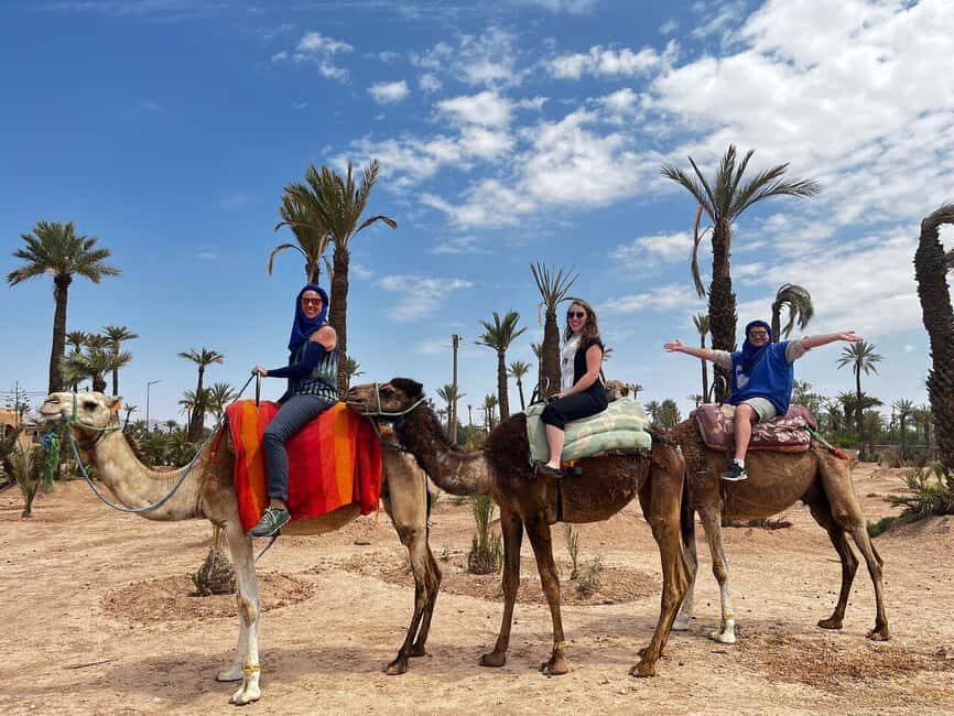From Casablanca: Marrakech City Tour with Camel ride - Marrakech’s Top Sights and Cultural Gems