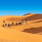 From Casablanca to Marrakech : 8 Day Morocco Classic Tour - FAQ