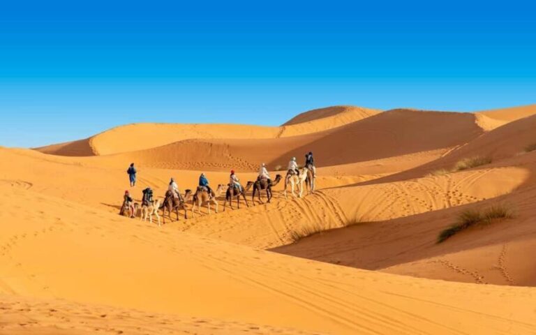 From Casablanca to Marrakech : 8 Day Morocco Classic Tour - FAQ