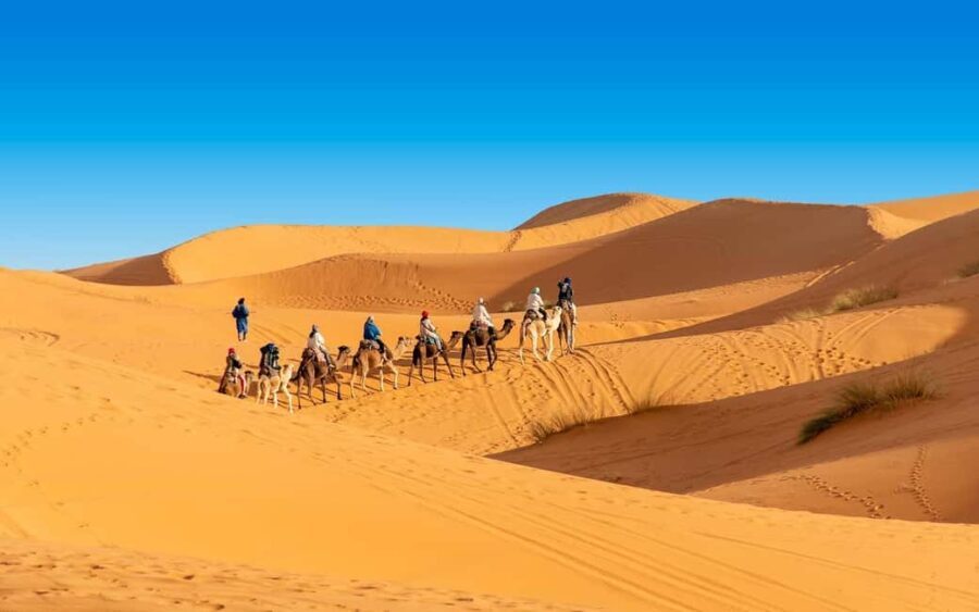 From Casablanca to Marrakech : 8 Day Morocco Classic Tour - FAQ