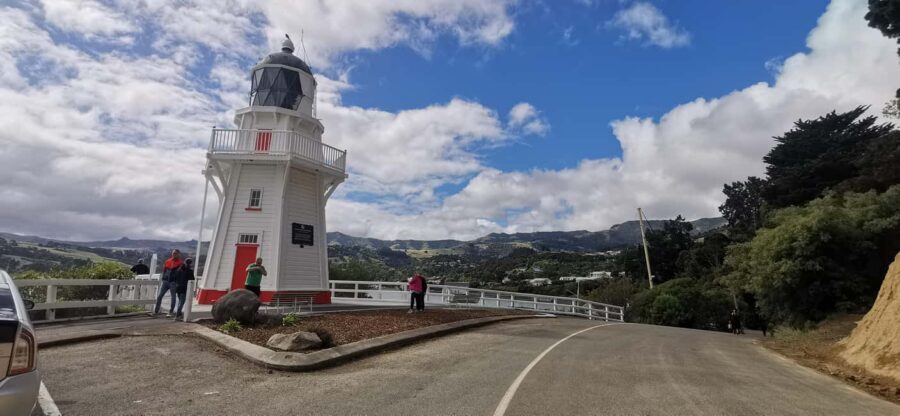 From Christchurch: Akaroa Day Tour with Optional Cruise - What Makes This Tour Stand Out?