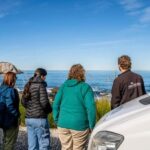 From Christchurch: Kaikura Day Tour With Dolphin Encounter - Overall Value and Considerations