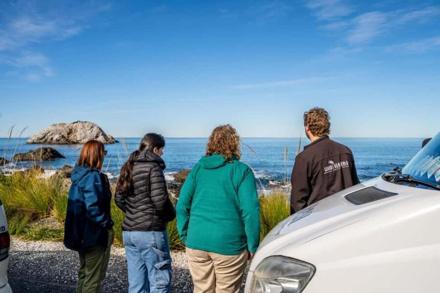 From Christchurch: Kaikura Day Tour With Dolphin Encounter - Overall Value and Considerations