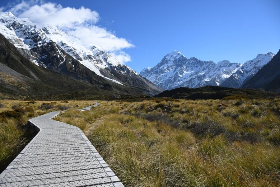 From Christchurch: Mt Cook Day Tour & Lake Tekapo - What Makes This Tour Stand Out?
