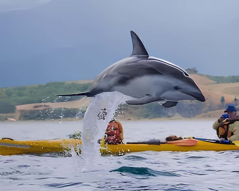 From Christchurch: Private Kaikoura Tour with Guide - Transportation and Comfort