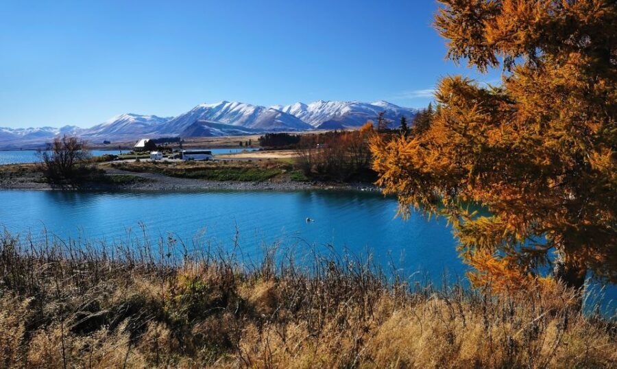 From Christchurch: Queenstown via Tekapo & Mt Cook Day Trip - What’s Included and What to Expect