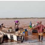 From Dakar: Pink Lake and Jeep Tour with Hotel Pickup - What’s Included and What’s Not