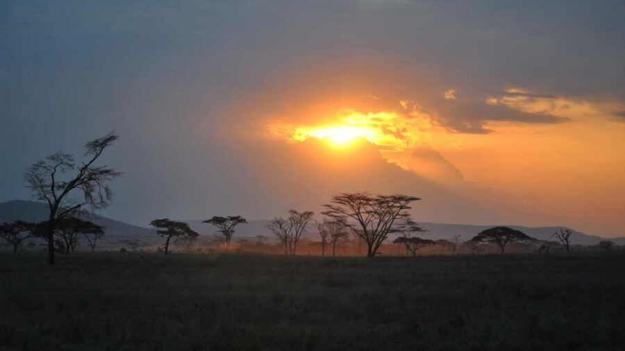 From Dar es Salaam or Zanzibar: 2-Day Mikumi National Park - Practical Tips for Your Mikumi Safari