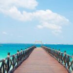 From Dar es Salaam: Saadani National Park 2-Day Safari - The Experience Through Authentic Eyes