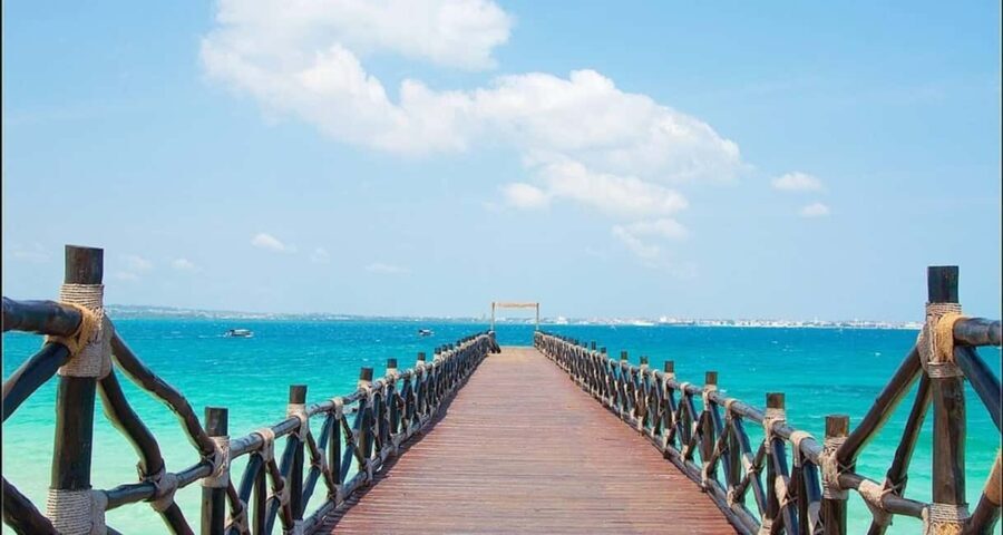 From Dar es Salaam: Saadani National Park 2-Day Safari - The Experience Through Authentic Eyes