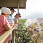 From Darwin: 2-Day Kakadu Cooinda & Yellow Water Cruise - Transportation and Group Size
