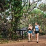 From Darwin: Kakadu Wilderness Escape Day Tour - Detailed Review of the Tour Experience