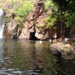 From Darwin: Litchfield Park Tour & Jumping Crocodile Cruise - Why This Tour Offers Great Value