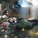 From Diani: Full Day Shimba hills tour with Sheldrick Falls - Wildlife and Scenic Highlights of the Game Drive
