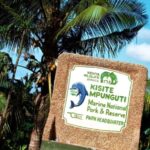From Diani: Kisite Mpunguti Marine Park and Wasini Island - What’s Included and What to Keep in Mind