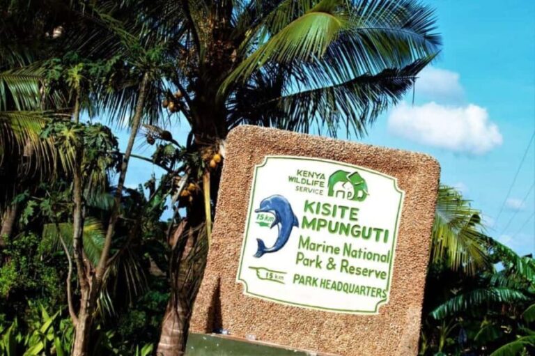 From Diani: Kisite Mpunguti Marine Park and Wasini Island - What’s Included and What to Keep in Mind