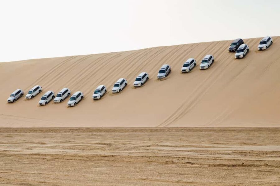 From Doha: Adventure Trip to the Desert - Why This Tour Offers Good Value
