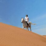 From Doha: Experience Horse Riding In Qatar Desert - The Ride: A Step-by-Step Breakdown