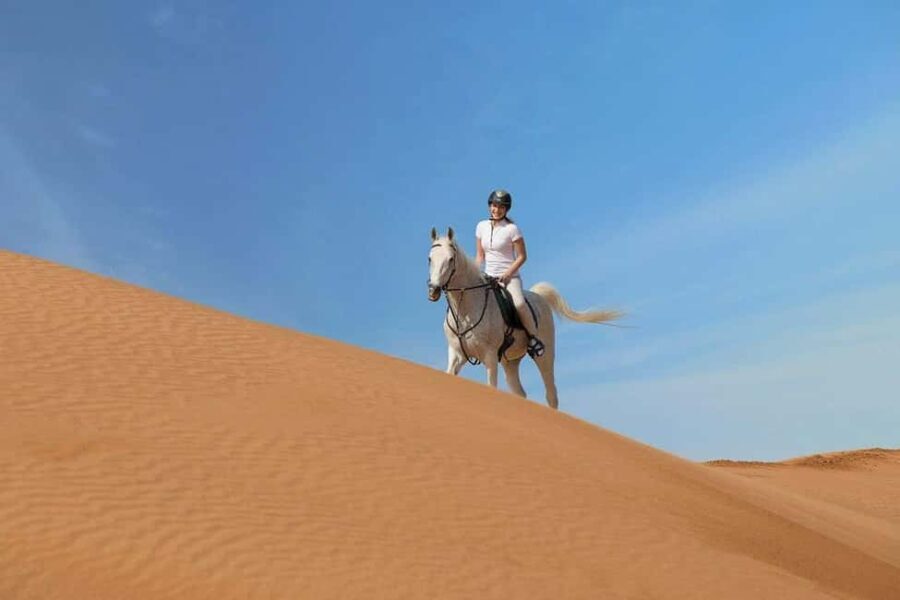 From Doha: Experience Horse Riding In Qatar Desert - The Ride: A Step-by-Step Breakdown